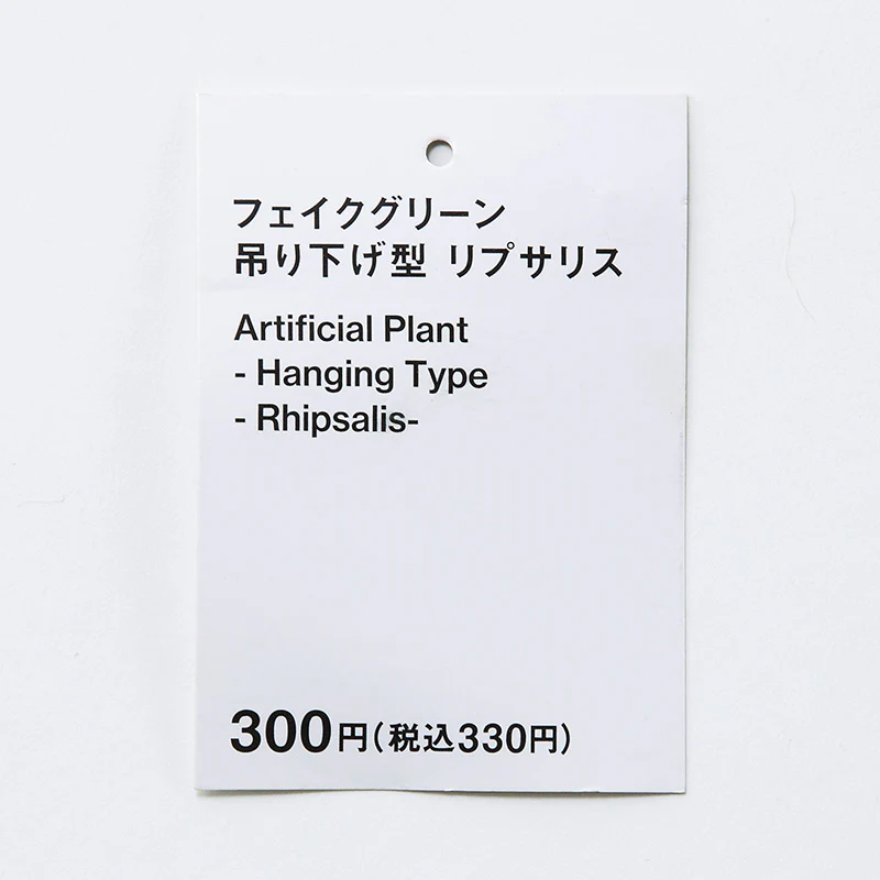 フェイクグリーン（吊り下げ型、リプサリス） - Image 3