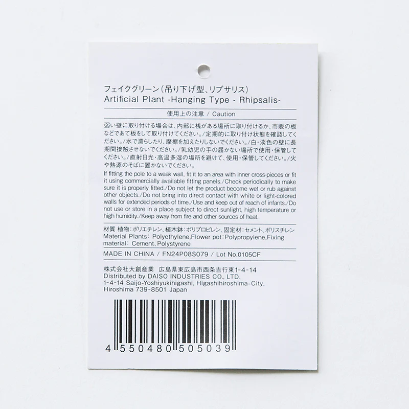 フェイクグリーン（吊り下げ型、リプサリス） - Image 4
